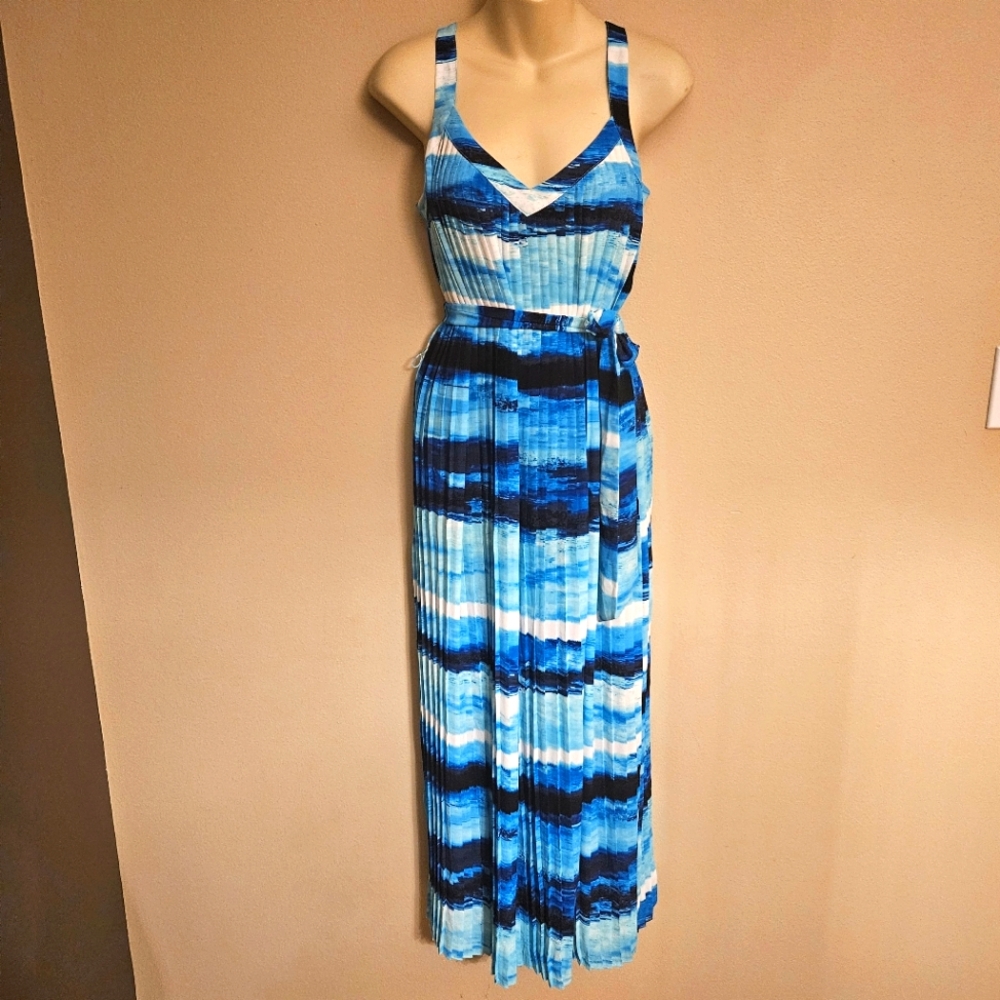 The Limited Blue Pleated Maxi Dress